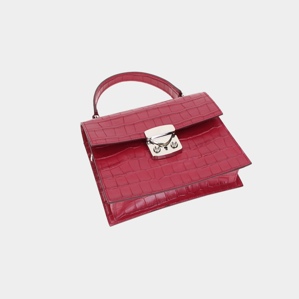 Mini Crocodile Handbag (4)
