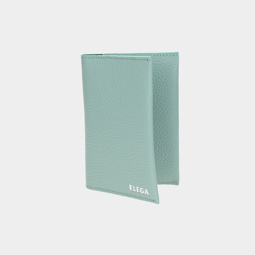 Pouzdro na pas Apolo